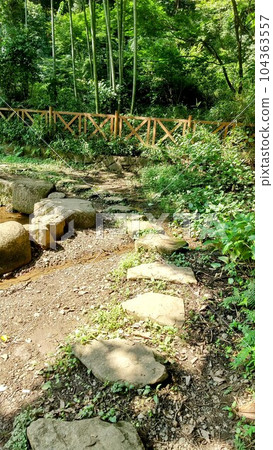 散步一天 104363557