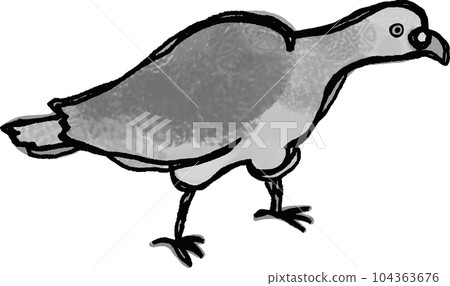 一隻朝右的鴿子正在吃食物背景透明單色 104363676