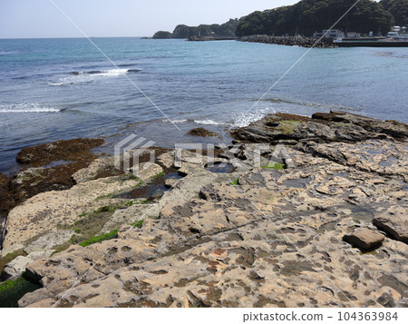 勝浦市內散步 勝浦市內散步 104363984
