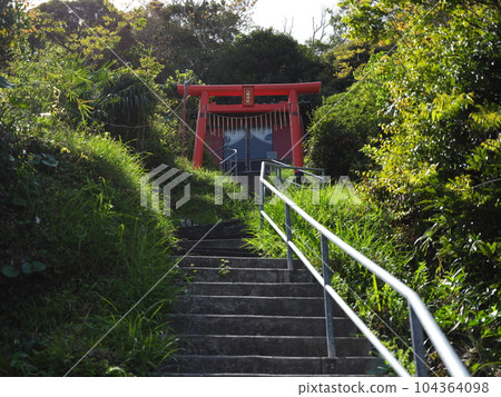 勝浦市內散步 104364098