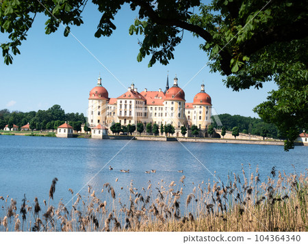 Lake surrounding Moritzburg castle over stalks of reeds and grass. Lake surrounding Moritzburg castle over stalks of reeds and grass. 104364340