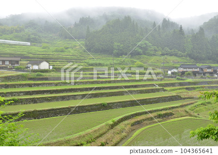 [Sayo Town, Hyogo Prefecture] Otookidani Rice Terraces 104365641