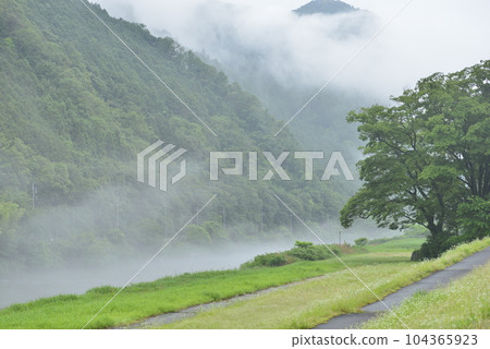 【兵庫縣紫蘇市】伊保河在雨中冒著濃煙 104365923