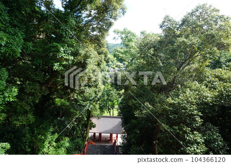 大分宇八幡神社 大分宇八幡神社 104366120