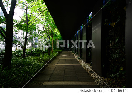 fresh green passage fresh green passage 104366343