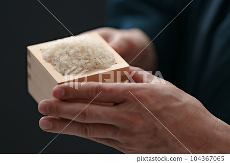 Rice Harvest Male Hand Rice Harvest Male Hand 104367065