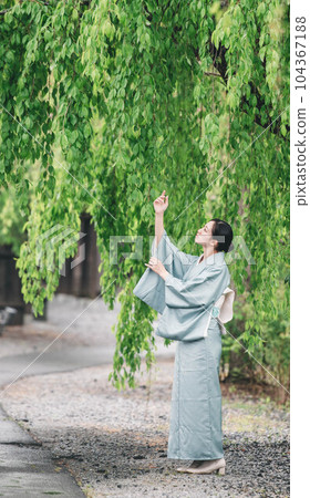 Young woman in Japanese clothes standing under the willow tree Young woman in Japanese clothes standing under the willow tree 104367188