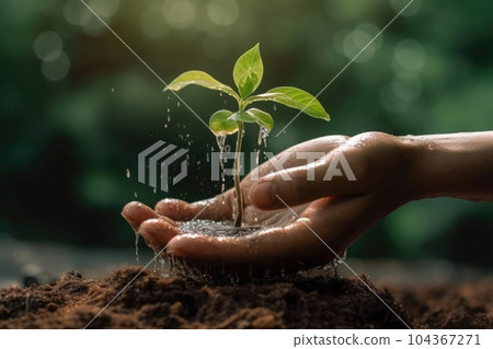 Women's hands plant a tree World Environment Day concept of planting forests. Earth day concept. Generative AI 104367271