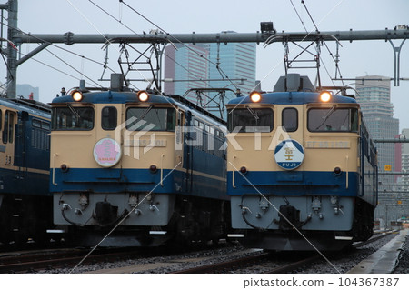EF65 type electric locomotives lined up in the former Tokyo locomotive depot "Blue Meiko, again." Photo session_2023/4/15 104367387