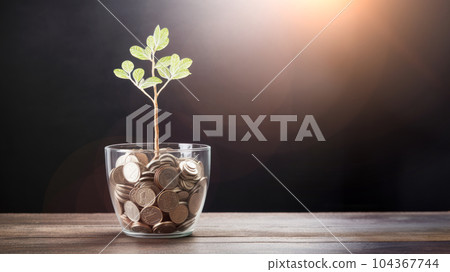 A little tree growth on coins in jar. Money management invest concept. A little tree growth on coins in jar. Money management invest concept. 104367744
