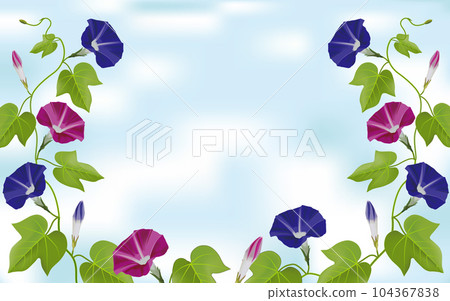 blue and purple morning glory frame blue and purple morning glory frame 104367838
