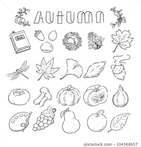 Autumn illustration set 104368657