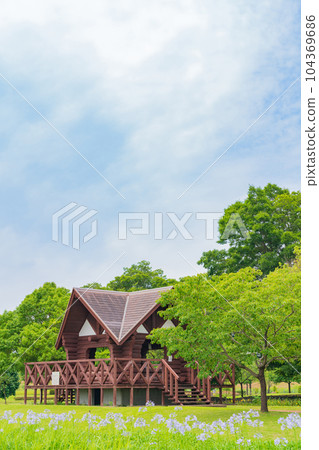各務原上水公園、百子蓮盛開<岐阜縣各務原市> 104369686