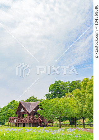 各務原上水公園、百子蓮盛開<岐阜縣各務原市> 各務原上水公園、百子蓮盛開<岐阜縣各務原市> 104369696
