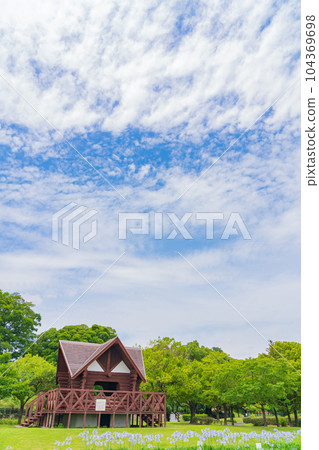 各務原上水公園、百子蓮盛開<岐阜縣各務原市> 各務原上水公園、百子蓮盛開<岐阜縣各務原市> 104369698