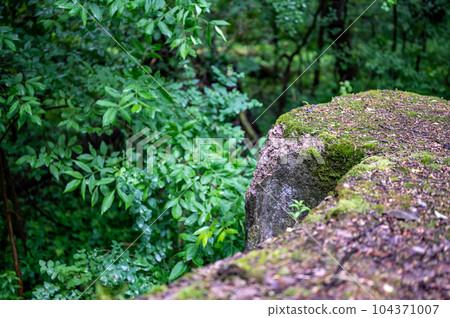 Concrete abutments to the South Greece Junction Lock along the Erie Canal used for boats.  104371007