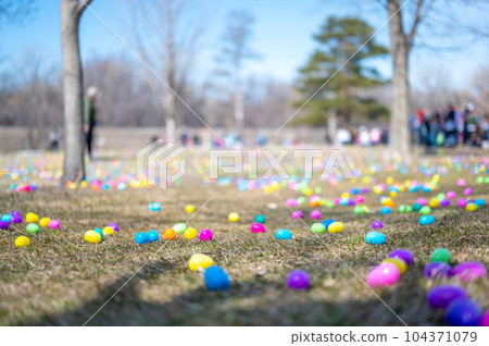 Open field with hundreds of plastic Easter eggs for a kids public hunt.  104371079