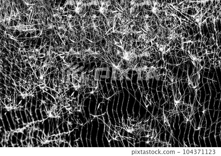 Macro of seed pods and dust collecting on the heat exchanger coils of an air conditioner outside.  104371123