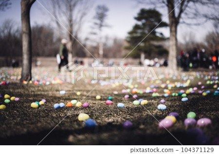 Open field with hundreds of plastic Easter eggs for a kids public hunt. Open field with hundreds of plastic Easter eggs for a kids public hunt. 104371129