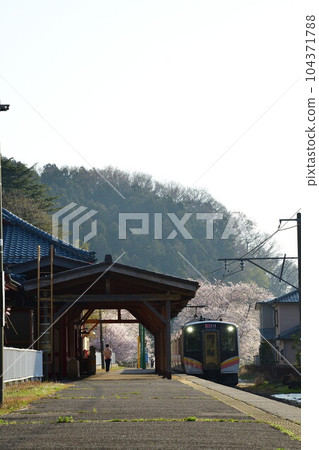 Cherry blossoms at Yahiko Station (Niigata Prefecture) Cherry blossoms at Yahiko Station (Niigata Prefecture) 104371788