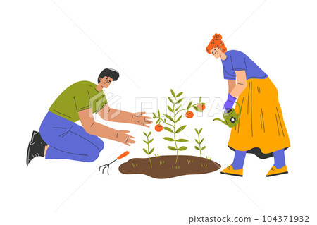 Happy Man and Woman Farmer Character Cultivating Tomato Crop Vector Illustration 104371932