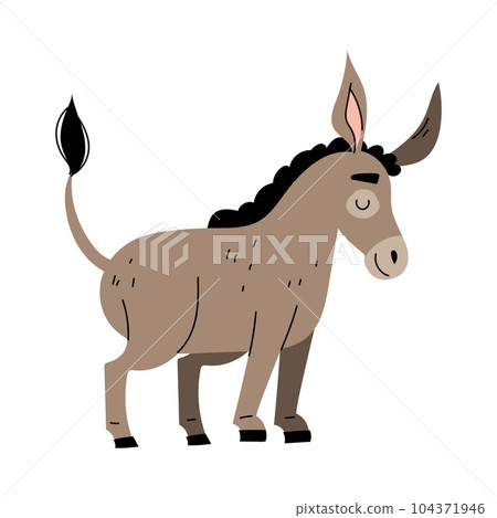 Cute Grey Donkey as Farm Animal Vector Illustration 104371946
