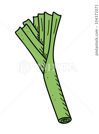 Leek doodle icon, vector single illustration of green onions with leek leaves on a white background. 104372071