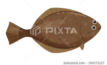 可愛的比目魚的插圖 可愛的比目魚的插圖 104372227