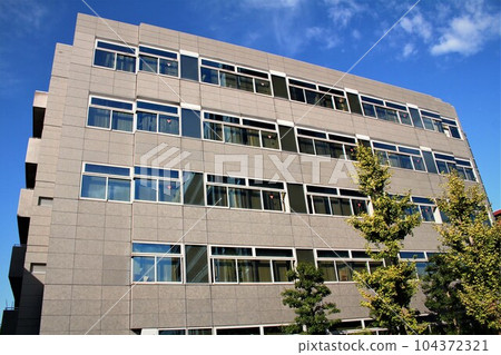Yao City Hall 104372321