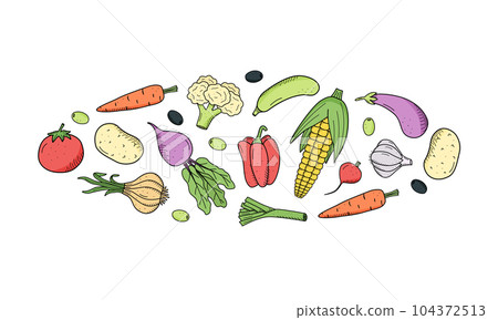 Collection of colored drawing vegetables in doodle style. A set of vector illustrations of the harvest corn potatoes carrots radishes beets garlic onions tomatoes, etc. Collection of colored drawing vegetables in doodle style. A set of vector illustrations of the harvest corn potatoes carrots radishes beets garlic onions tomatoes, etc. 104372513