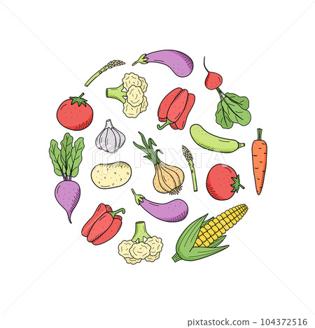 Collection of colored drawing vegetables in doodle style. A set of vector illustrations of the harvest corn potatoes carrots radishes beets garlic onions tomatoes, etc. 104372516