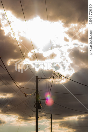 Sunset and telegraph pole 104372650