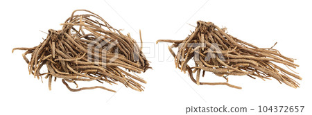 Dried Valerian root isolated on white background. Valeriana officinalis with full depth of field. Dried Valerian root isolated on white background. Valeriana officinalis with full depth of field. 104372657