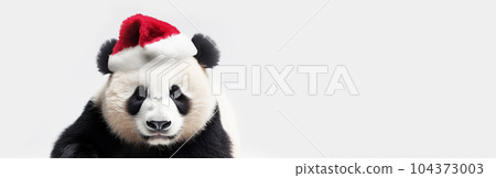 Cute panda bear in santa claus hat, white background copy space, banner. New Year holiday concept. 104373003