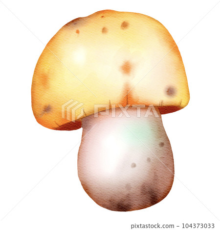 cute autumn illustration watercolor hand drawn 104373033