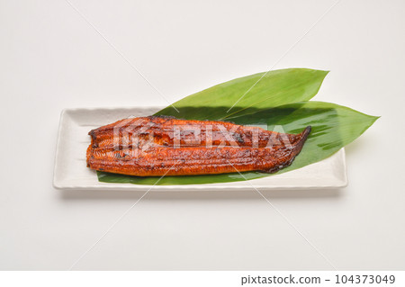烤鰻魚的鰻魚 104373049