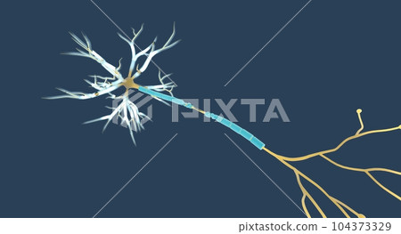 Transected neurons are brain cells that are...-插圖素材 [104373329] - PIXTA圖庫