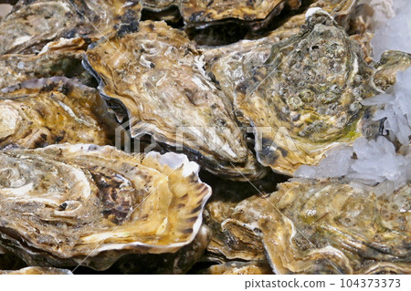 Oysters for sale at a market stall Oysters for sale at a market stall 104373373