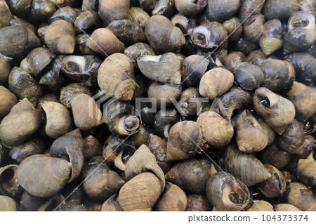 Periwinkles for sale at a market stall Periwinkles for sale at a market stall 104373374