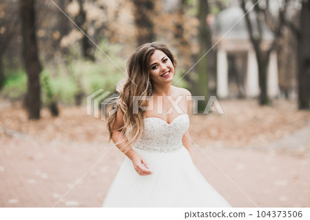 Beautiful luxury bride in elegant white dress 104373506