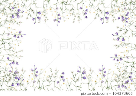 Frame of meadow, forest flowers. Campanula patula, little bell, bluebell, rapunzel. Rabelera holostea, stellaria.Watercolor hand painting illustration on isolate white background. 104373605