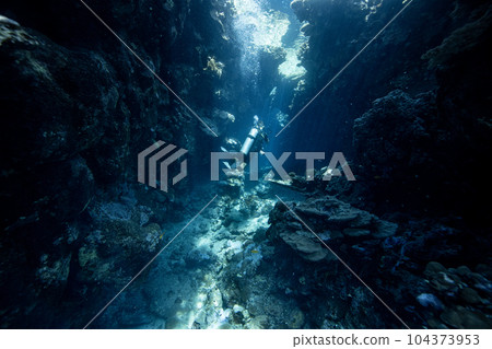 Diver exploring the coral reefs and cave in Egypt. Diver exploring the coral reefs and cave in Egypt. 104373953