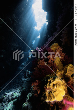 Beautiful colored coral reefs and cave in Egypt. Beautiful colored coral reefs and cave in Egypt. 104373955