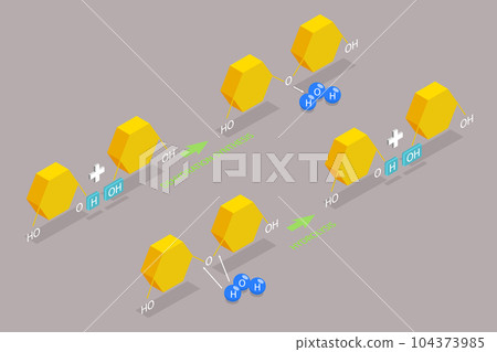 3D Isometric Flat Vector Conceptual Illustration of Dehydration Synthesis 104373985