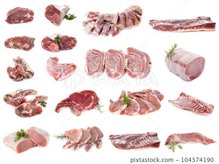 pork meats in studio pork meats in studio 104374190