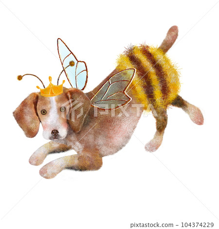 Beagle dog in a bee costume 104374229