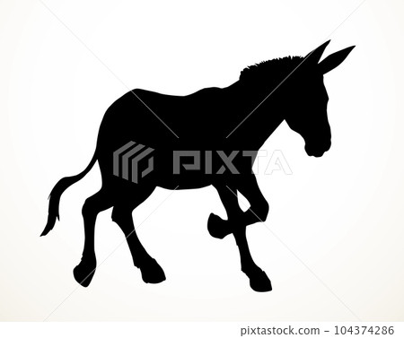 Vector drawing. Cute old mule Vector drawing. Cute old mule 104374286