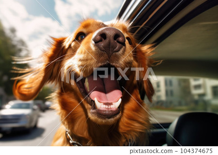 Happy dog with head out of the car window having fun. Generative AI 104374675