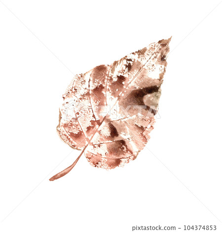 Brown Poplar Leaf Imprint isolated on white background. Watercolor natural leaf texture. Autumn season illustration of leafage stamp for texture, posters, frame, pattern 104374853