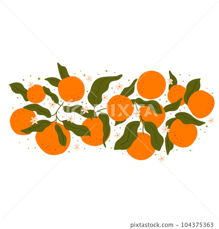 Orange fruit isolated element. Tropical summer fresh fruit decorative vector illustration Orange fruit isolated element. Tropical summer fresh fruit decorative vector illustration 104375363